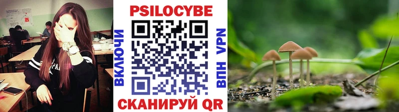 Купить  Инза  Псилоцибиновые грибы Magic Shrooms 