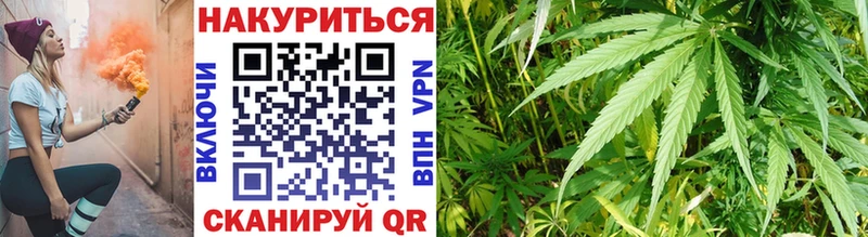 Конопля VHQ  Купить где  Инза 